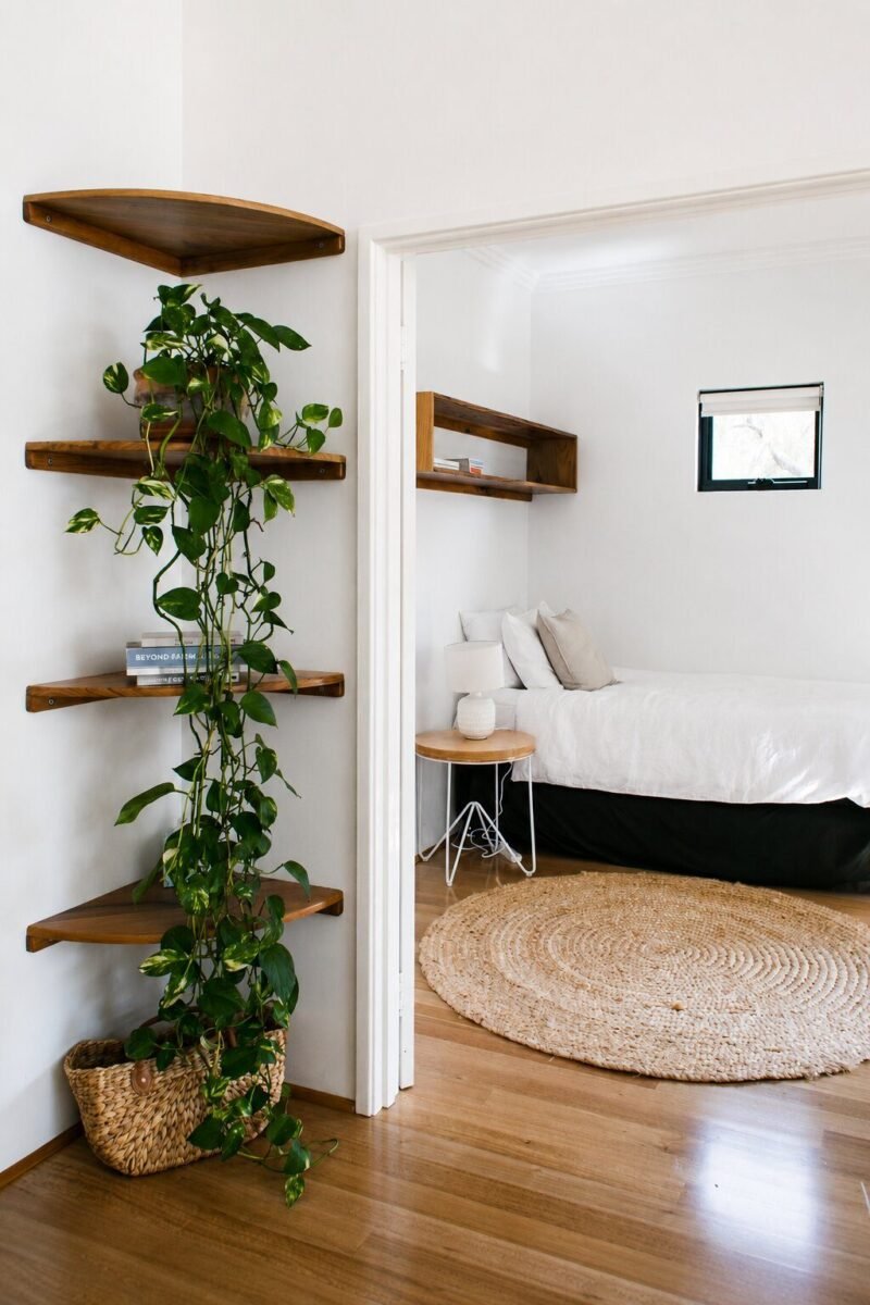 plants and natural materials in a cozy small bedroom