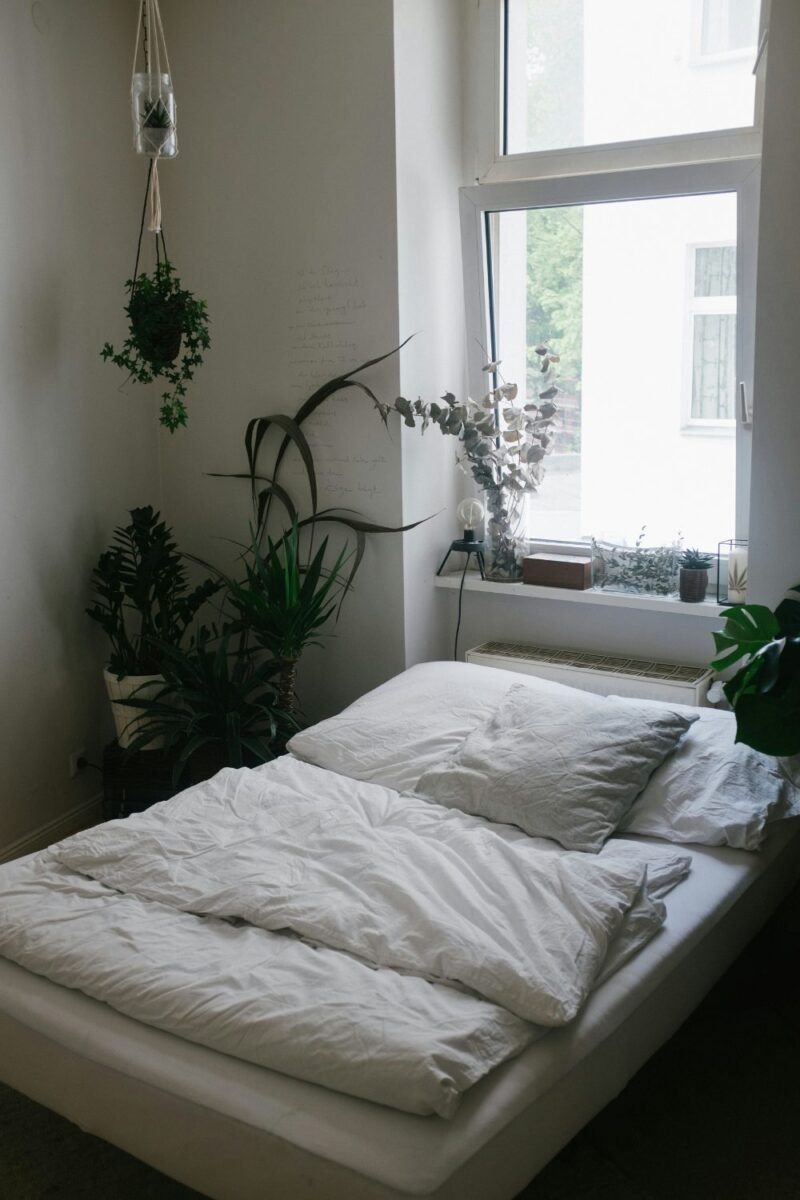 Cluster of houseplants, including a trailing one, gathered in the corner of a small apartment bedroom beside the window