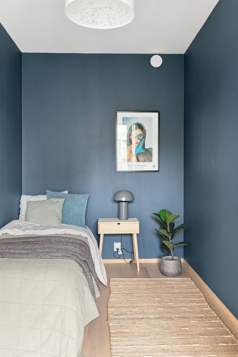 Small bedroom with a moody blue accent wall painted behind the bed