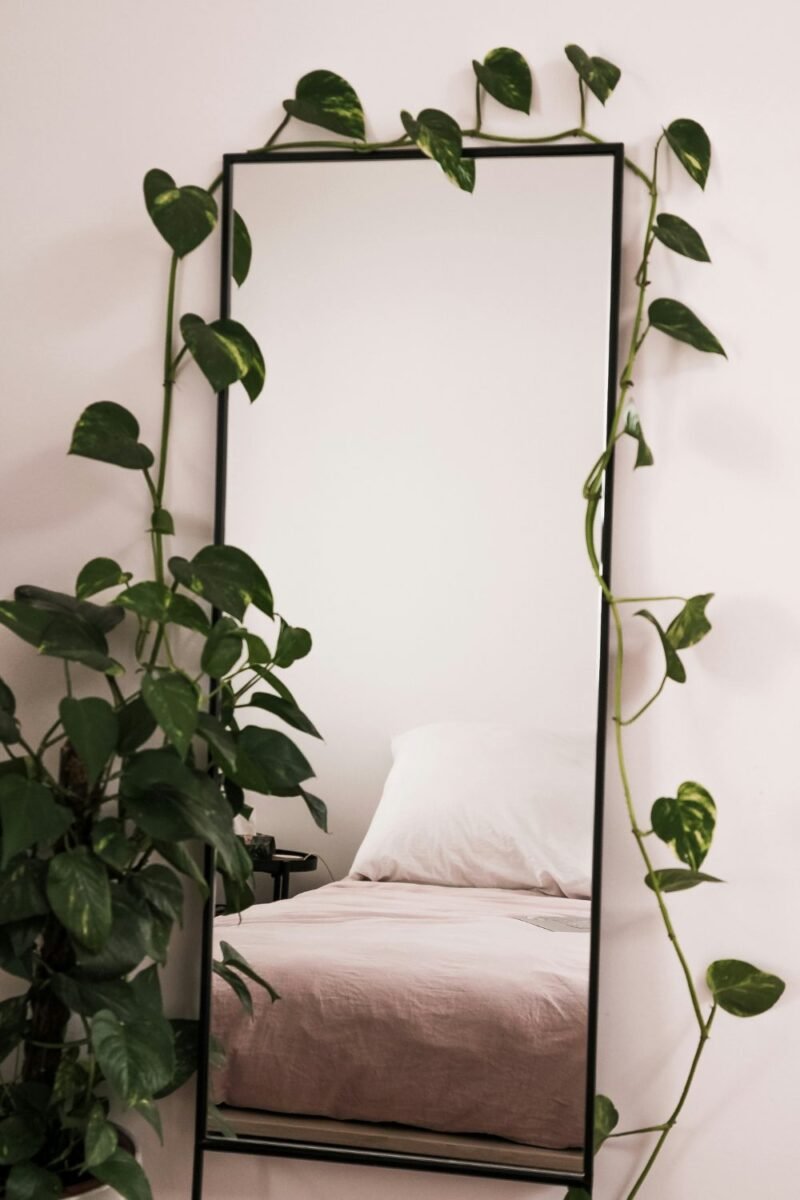 Full-length leaning mirror framed by trailing plants reflecting a small bedroom